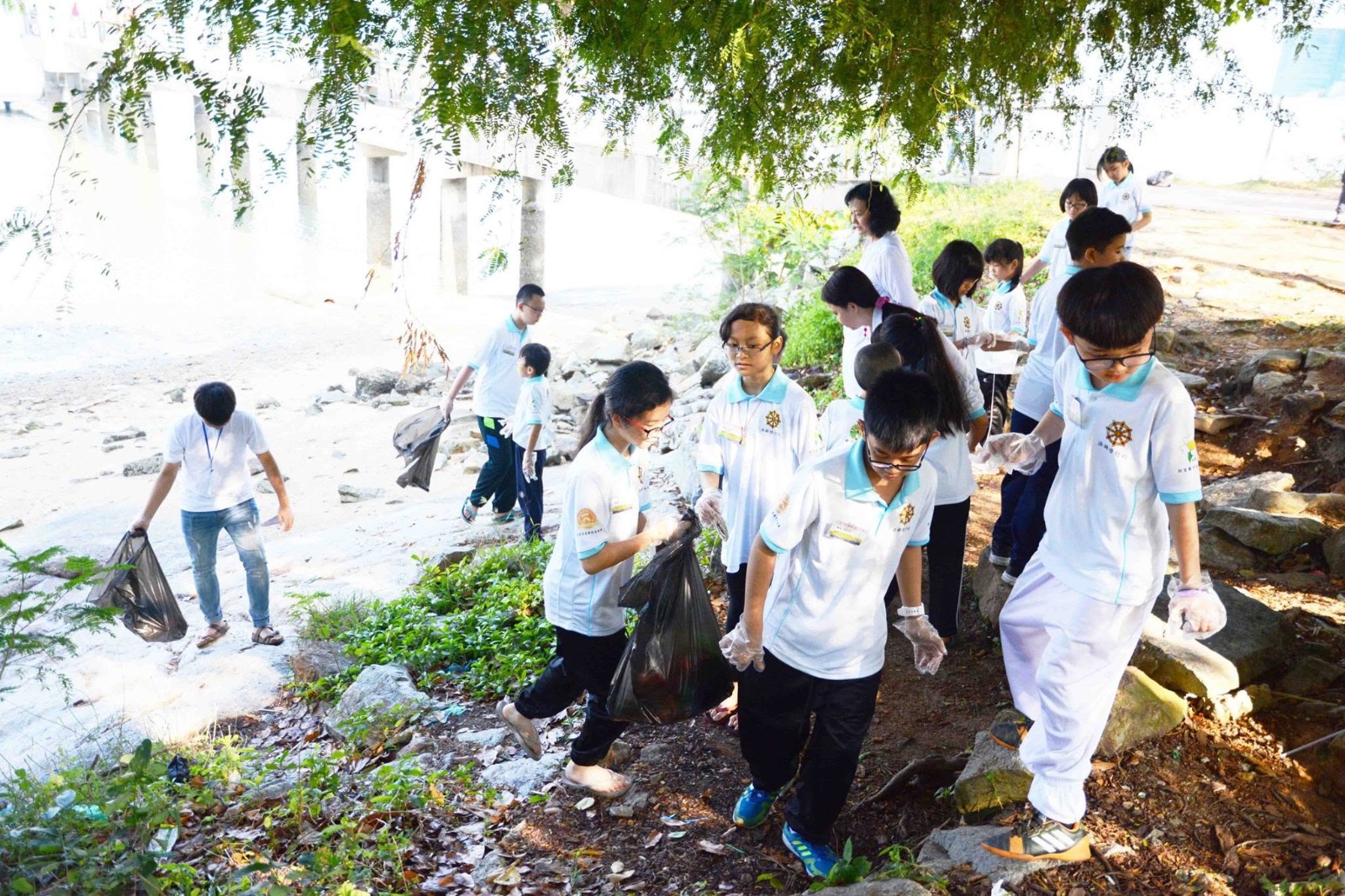Environmental Action
