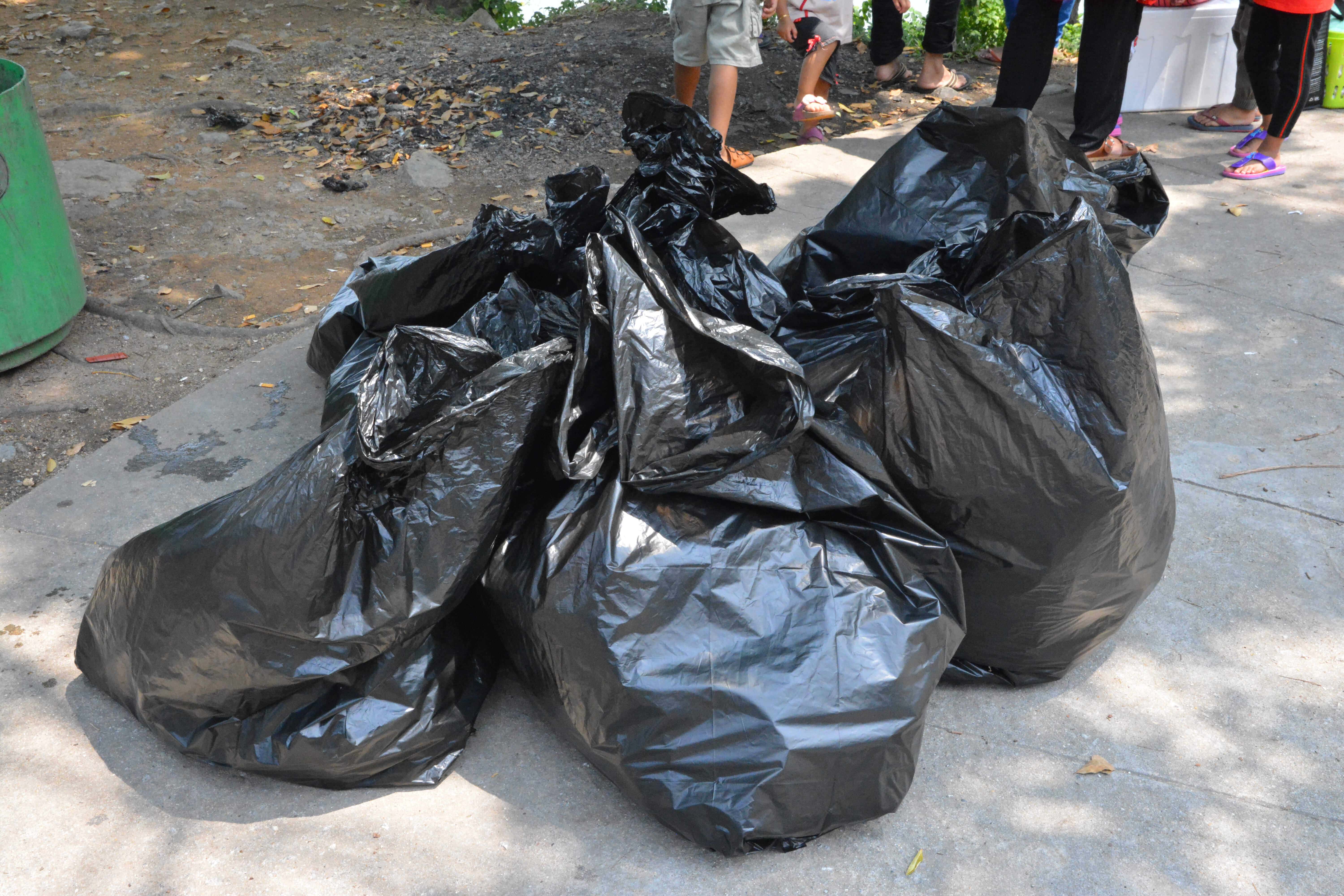 2019 Batu Kawan, Penang Coastal Cleanup & Environmental Activity - Image 16